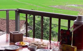 Ba Be Lake Homestay - Quynh Chi